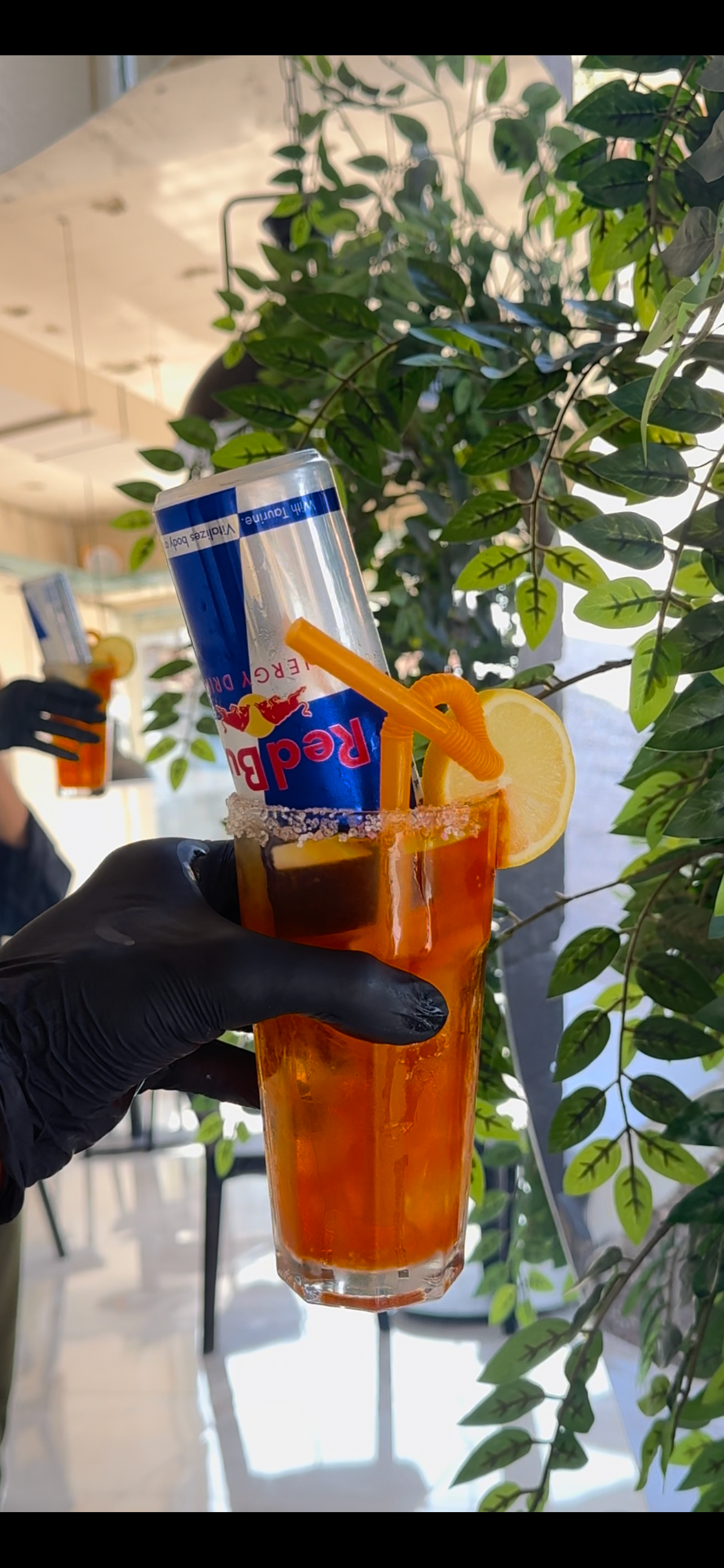 مەکسیکی ڕێدبوڵ